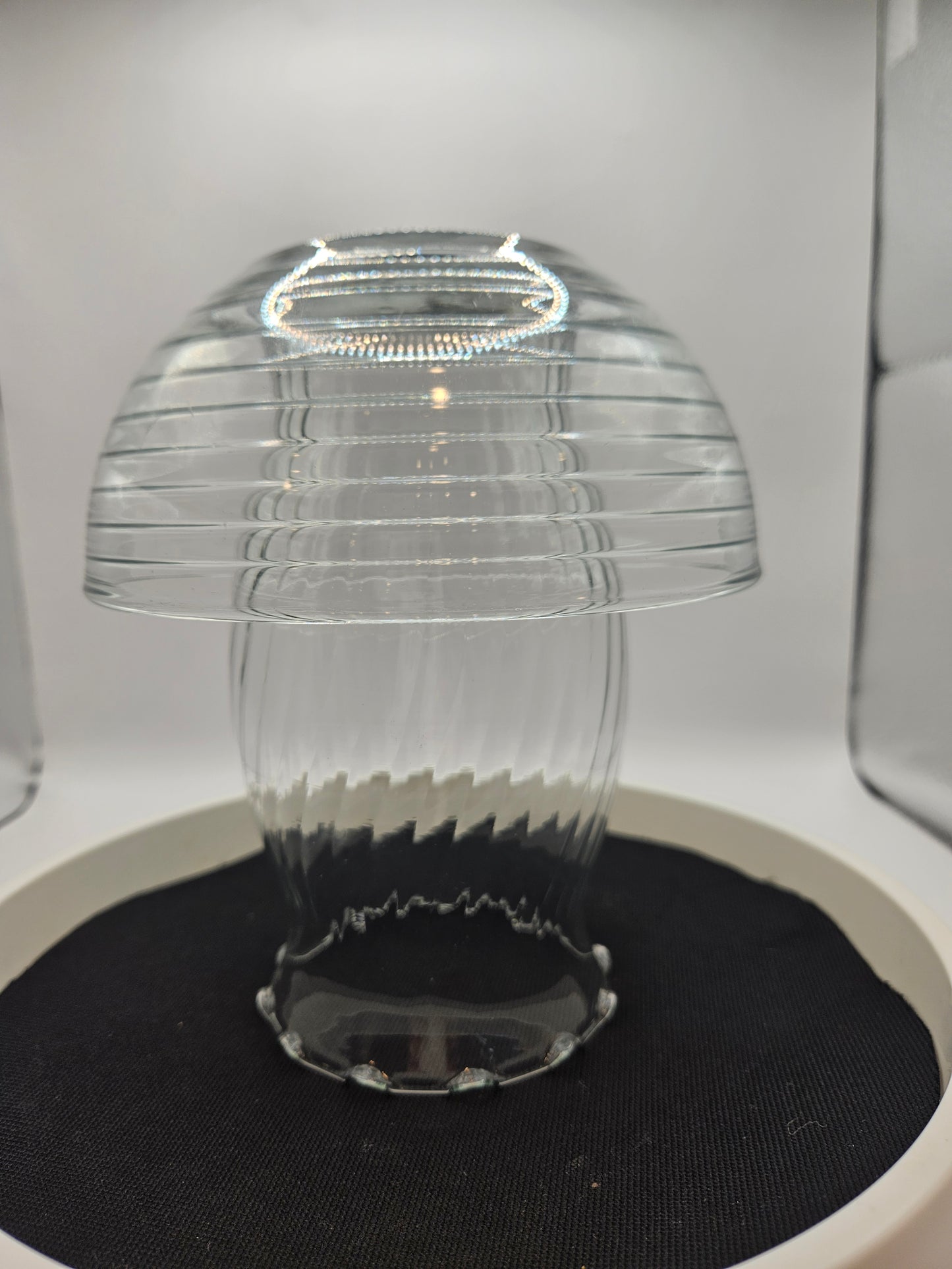Glass Mushroom A3